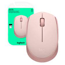 Logitech M170 mouse Wireless 097855183446